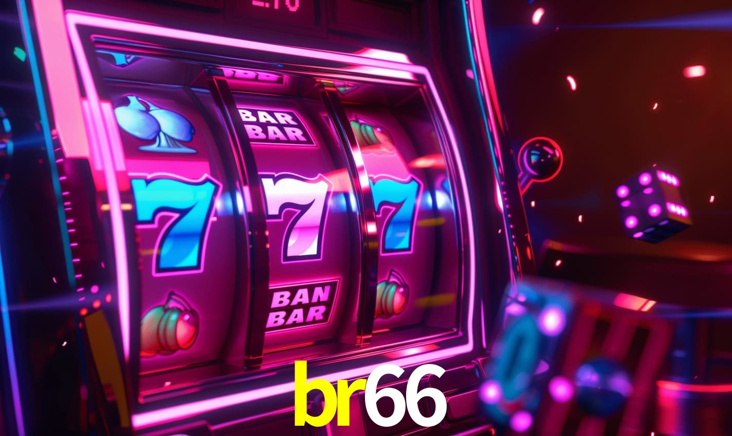 Programa VIP br66