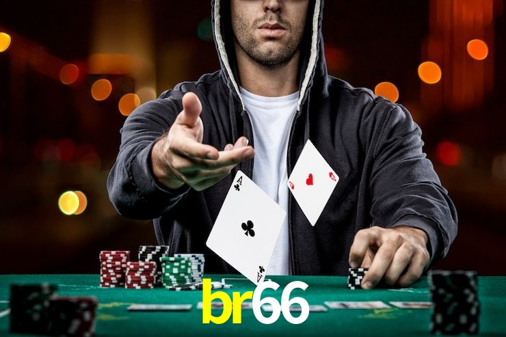 br66.com